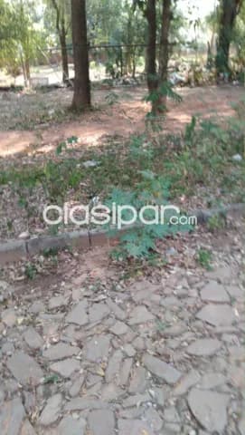 Terreno en Asunción Trinidad — foto 2
