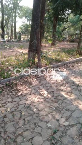 Terreno en Asunción Trinidad — foto 4