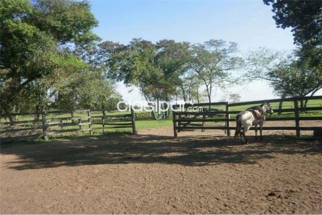 De 500 ha 1,000,000 usd juan de mena cordillera, foto 1