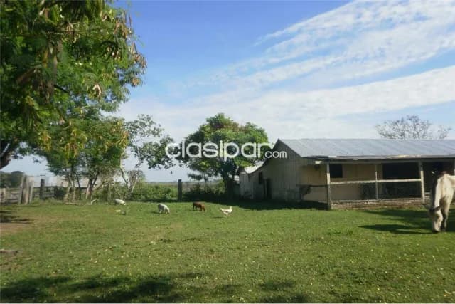 De 500 ha 1,000,000 usd juan de mena cordillera, foto 4