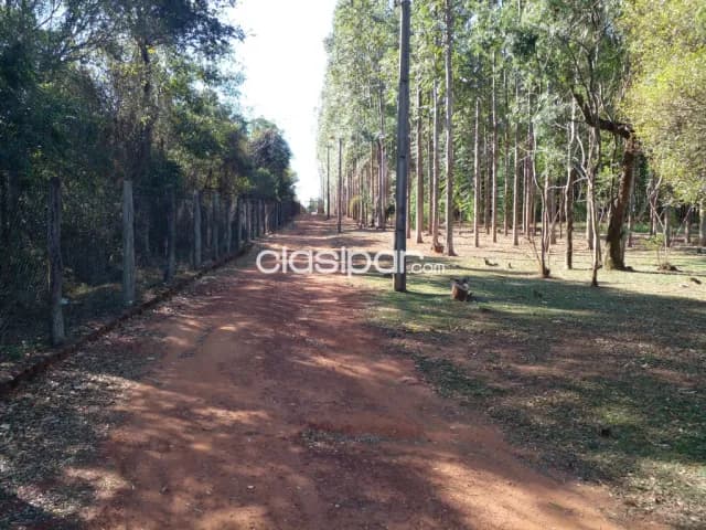 granja de 5 has. en Piribebuy – Cordillera — foto 3