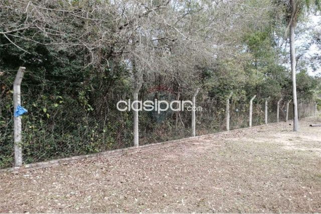 Terreno de 1.200 m2 sobre asfaltada zona naumann 320,000,000 ₲