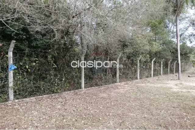 Terreno de 1.200 m2 sobre asfaltada zona naumann 320,000,000 ₲, foto 2