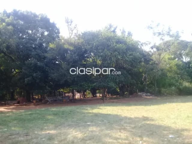 Limpio p/ inversionistas: 5.000 m2 p/ emprendimientos inmobiliarios – 100.000 usd, foto 5