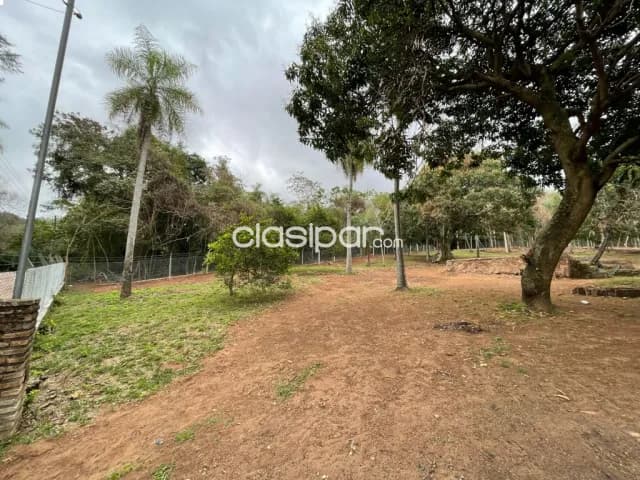 7 terrenos juntos en venta San Bernardino zona la gruta — foto 3