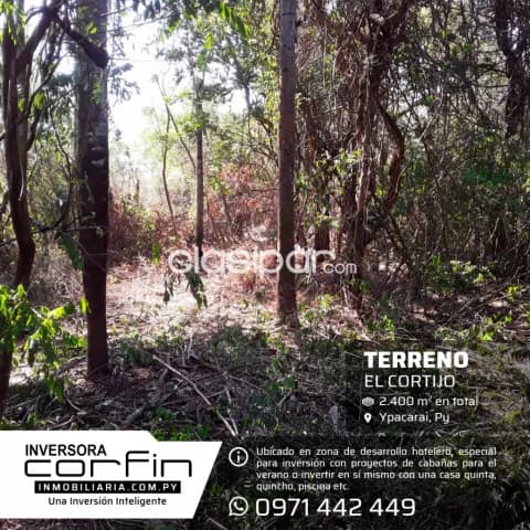 2.400m2 el cortijo, 1/4 de hectárea, arbolado,plano, especial para inversion o casa quinta, foto 3