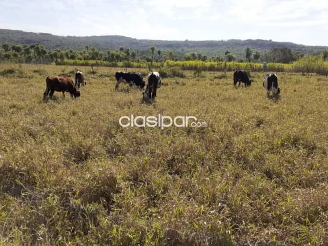 Piribebuy – itá morotî: 8 hectareas, pasturas, ganadería, equipada – 840.000.000 gs — foto 2