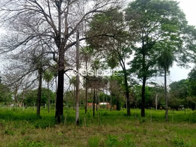 GANGA 10 terrenos en 1 sobre ASFALTO detrás del Super CACIQUE en CAACUPEMI — foto 3