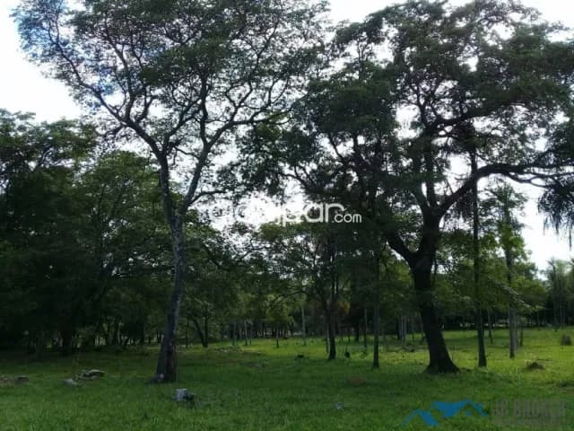 54 hectáreas en valenzuela – cordillera cod:v0137, foto 5