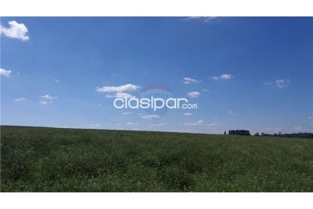 En venta 20 has en hernandarias! — foto 1
