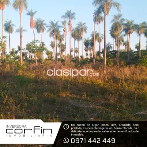 Terreno 7 has en altos ¡un paraiso!, foto 2
