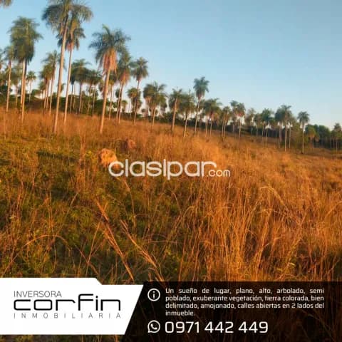Terreno 7 has en altos ¡un paraiso!, foto 3