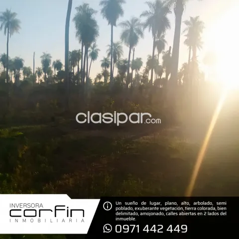 Terreno 7 has en altos ¡un paraiso!, foto 4