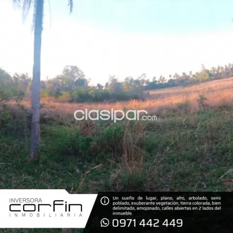 Terreno 7 has en altos ¡un paraiso!, foto 5
