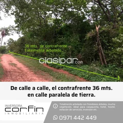 Atyra 1.795 m2., 24 mts., sobre ruta asfaltada,terrreno arbolado ¡verlo es comprarlo! — foto 5