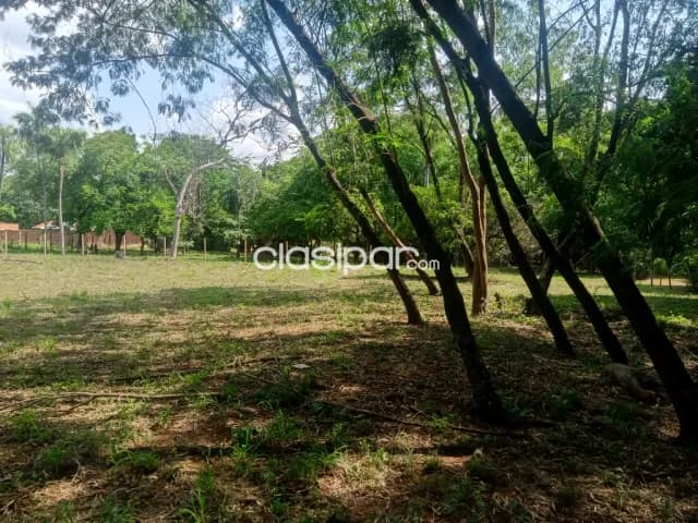 GANGA 10 terrenos en 1 sobre ASFALTO detrás del Super CACIQUE en CAACUPEMI — foto 5