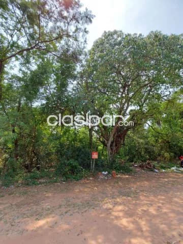 Terreno en venta Urbanización Sadi San Bernardino — foto 4