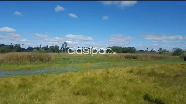 40.000 metros cuadrados. En Departamento Central. Nueva Italia. Zona.: Ecovita. Vendo.!!!!, foto 4