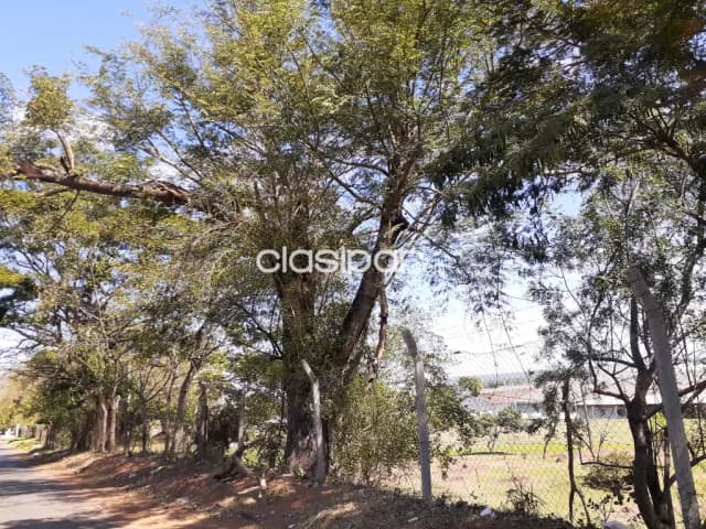 TERRENO en Villa Elisa ideal para dúplex sobre asfalto, foto 4