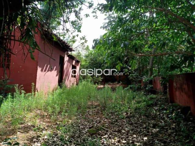 Casa a demoler en lambare. E2420 — foto 5