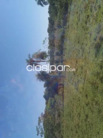 en las faldas del ypoa propiedad agricola ganadera, casa quinta o turismo campestre — foto 4