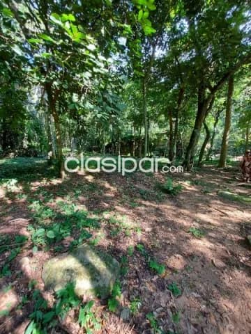 Por ideas de 8,5 ha en Paraguari — foto 4
