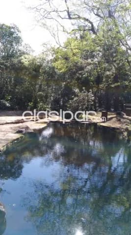 Por ideas de 8,5 ha en Paraguari — foto 5