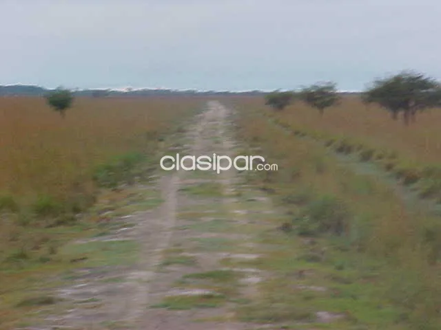 S. Juan bautista – misiones: 769has formadas + parturas, monte,p/ engorde – 9.000.000gs/ha — foto 2