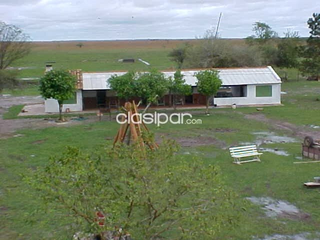 S. Juan bautista – misiones: 769has formadas + parturas, monte,p/ engorde – 9.000.000gs/ha — foto 5