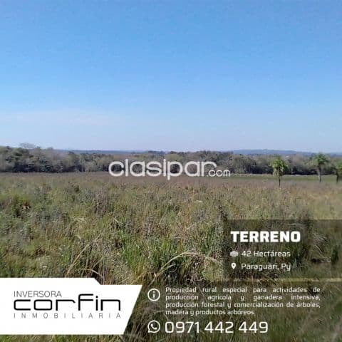 42 has. A 19 km del centro de paraguari zona francia cue