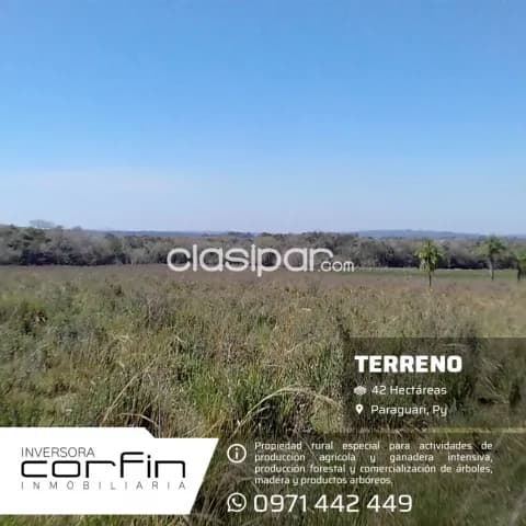 42 has. A 19 km del centro de paraguari zona francia cue, foto 2