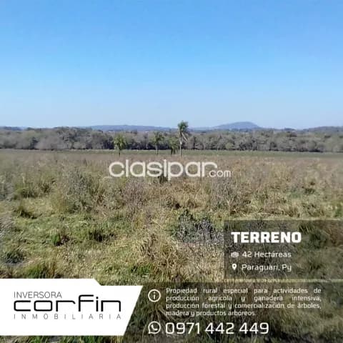 42 has. A 19 km del centro de paraguari zona francia cue, foto 3