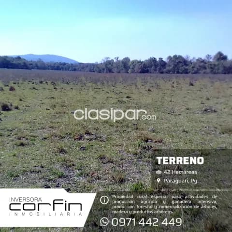 42 has. A 19 km del centro de paraguari zona francia cue, foto 4
