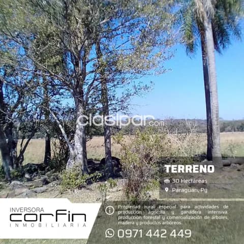 30 has a 19 km del centro de paraguari — foto 2