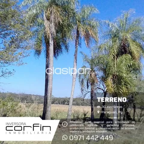 30 has a 19 km del centro de paraguari — foto 3