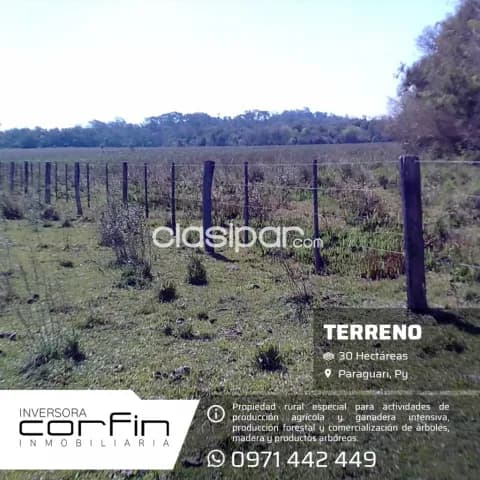 30 has a 19 km del centro de paraguari — foto 4