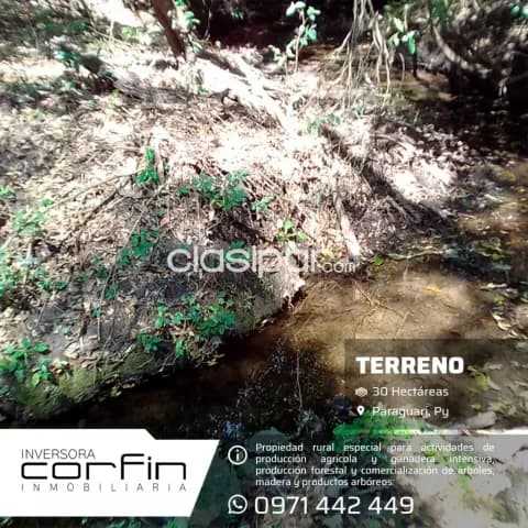 30 has a 19 km del centro de paraguari — foto 5