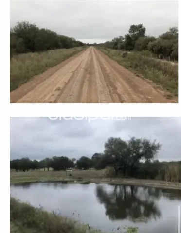 Se vende Estancia de 2.000 Hectáreas en Loma Plata. Chaco, foto 2