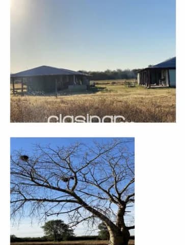 Se vende Estancia de 2.000 Hectáreas en Loma Plata. Chaco, foto 3