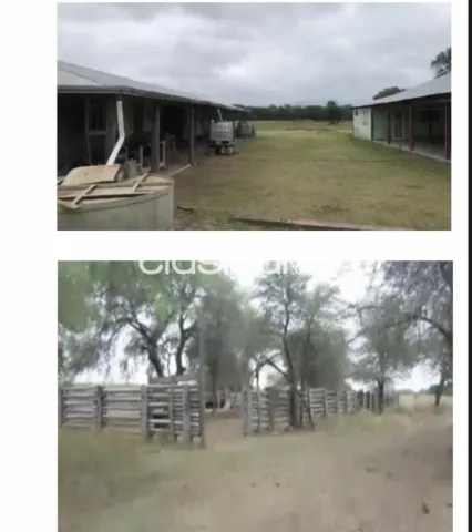 Se vende Estancia de 2.000 Hectáreas en Loma Plata. Chaco, foto 4
