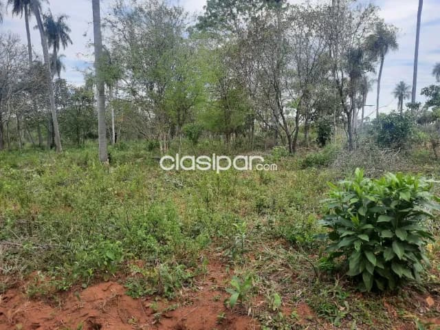 7 ha.con arroyito en Nueva Colombia, foto 5