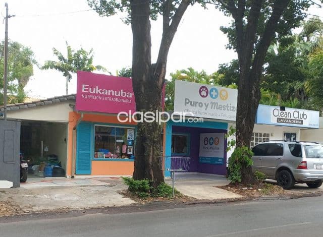 propiedad en YKUA SATI, a pasos del colegio Goette y av Sta Teresa. P073