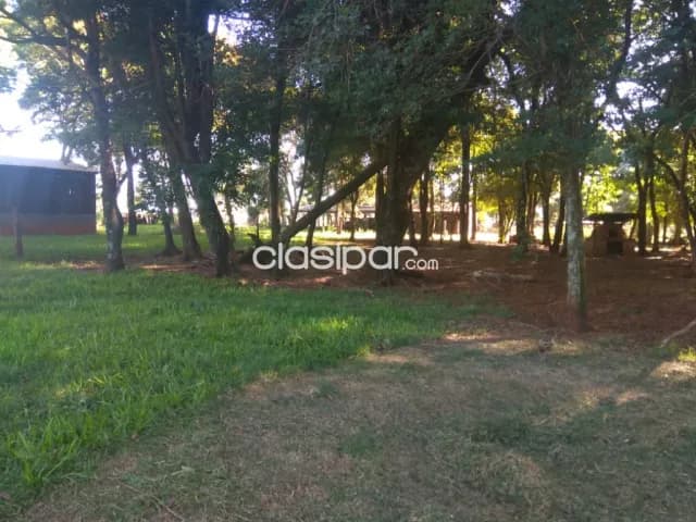 12 Hectareas en Nueva Fortuna ALTO PARANA — foto 4