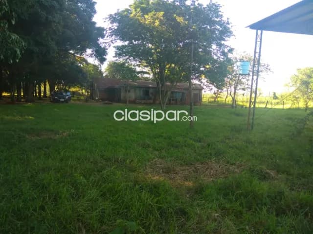 12 Hectareas en Nueva Fortuna ALTO PARANA — foto 5