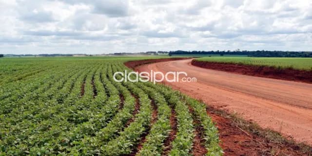 100 hectáreas OLEARY. CAMPO 9, foto 2