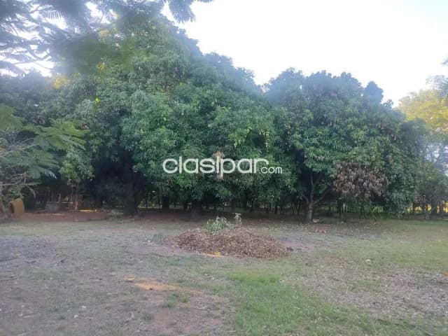 propiedad en Compañía Pedrozo/Ypacaraí — foto 5