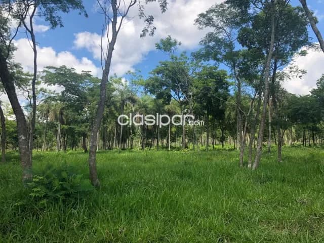 Quinta en Caacupé a 7 km de la Basílica — foto 5