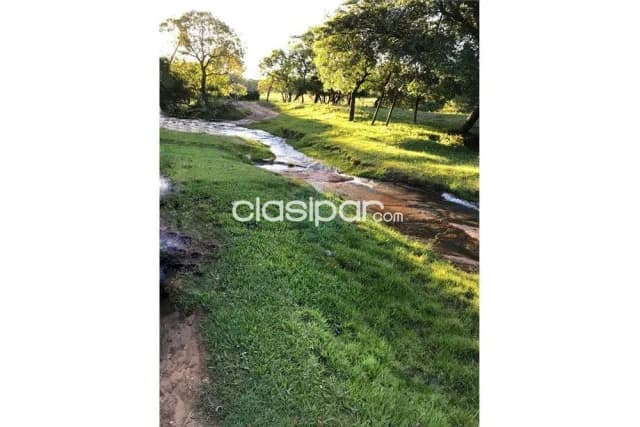 Propiedad de 9 has. En caacupé 450,000 usd, foto 3
