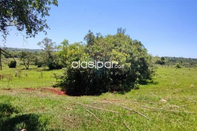 En venta 15 hectáreas en carmen del paraná 130,000 usd