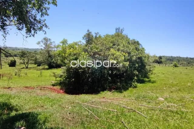En venta 15 hectáreas en carmen del paraná 130,000 usd — foto 2
